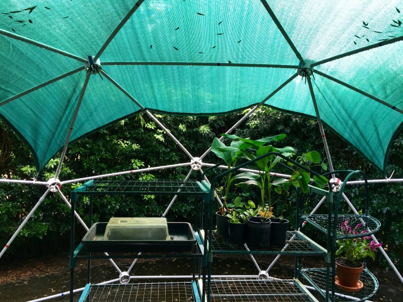 Inside the 5 Metre Dome